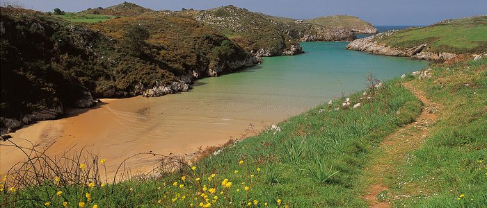 Playa Poo, Llanes. / Cedida por: Turismo de Llanes. Playa Poo, Llanes. / Cedida por: Turismo de Llanes.