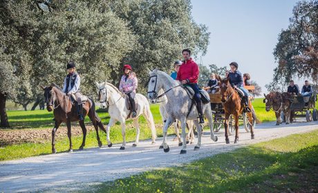 Ruta a caballo en familia por La Carlota (Córdoba) | Guía Repsol Ruta a caballo en familia por La Carlota (Córdoba) | Guía Repsol