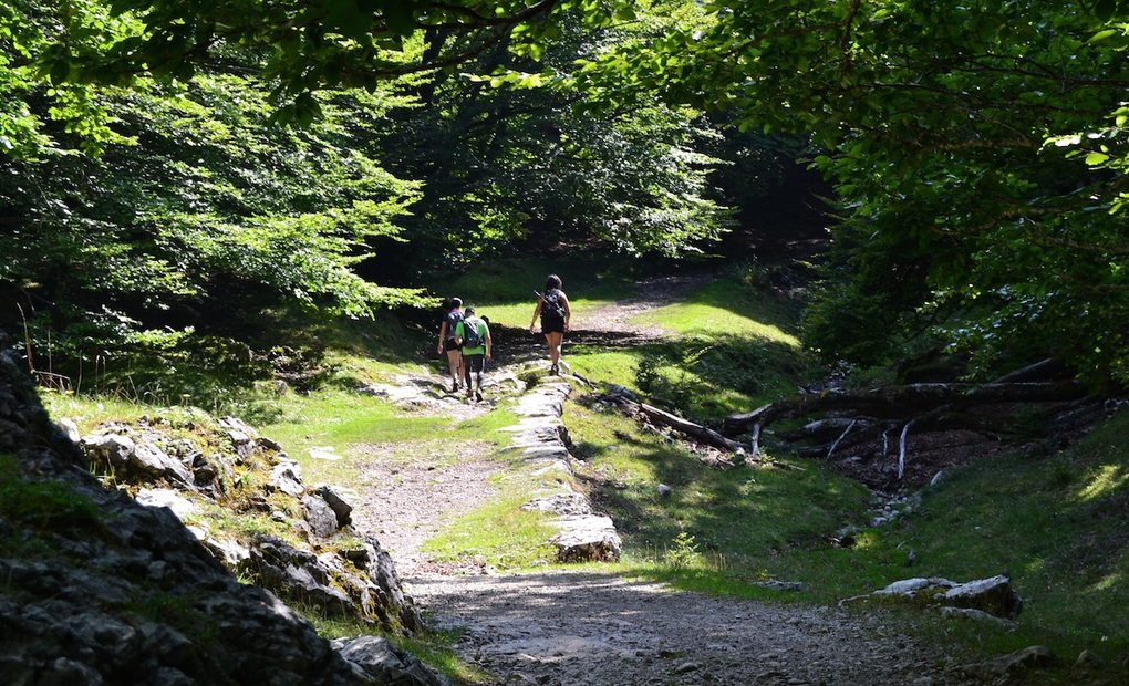 La calzada del siglo XI que lleva a San Adrián, en el parque natural Aizkorri-Aratz. Foto: Júlia Manresa La calzada del siglo XI que lleva a San Adrián, en el parque natural Aizkorri-Aratz. Foto: Júlia Manresa