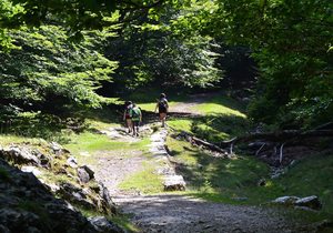 Ruta por el parque natural de Aizkorri-Aratz (Guipúzcoa) | Guía Repsol Ruta por el parque natural de Aizkorri-Aratz (Guipúzcoa) | Guía Repsol