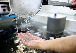 Angulas Mayoz (Usurbil, Guipúzcoa) | Guía Repsol Angulas Mayoz (Usurbil, Guipúzcoa) | Guía Repsol