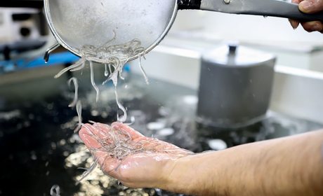 Angulas Mayoz (Usurbil, Guipúzcoa) | Guía Repsol Angulas Mayoz (Usurbil, Guipúzcoa) | Guía Repsol