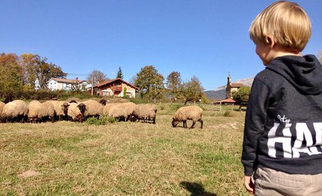 Ocio con niños en Euskadi: pastor por un día | Guía Repsol Ocio con niños en Euskadi: pastor por un día | Guía Repsol