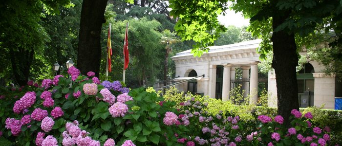 Real Jardín Botánico de Madrid Real Jardín Botánico de Madrid