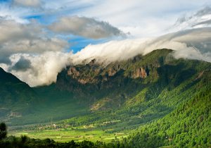 La Palma La Palma