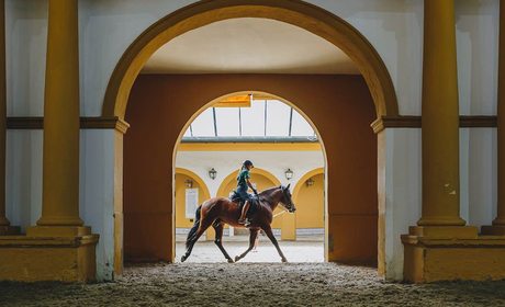 La Yeguada y la Real Escuele de Arte Ecuestre de Jerez | Guía Repsol La Yeguada y la Real Escuele de Arte Ecuestre de Jerez | Guía Repsol