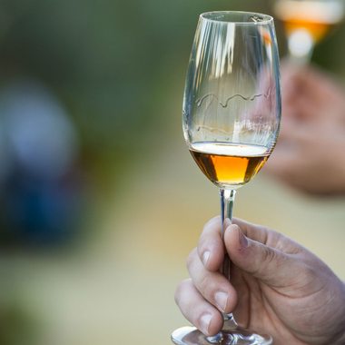Generosos como los de Jerez solo los hay en Jerez Generosos como los de Jerez solo los hay en Jerez