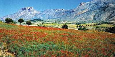 Sierra de la Muela